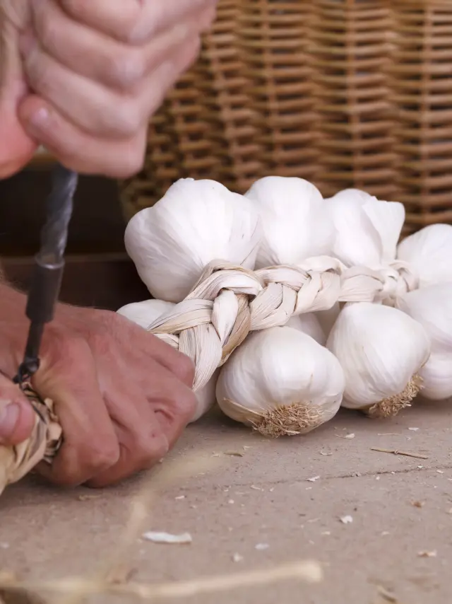 Producteur d’ail tressant une botte d’ail d’Espirat avec un outil traditionnel.