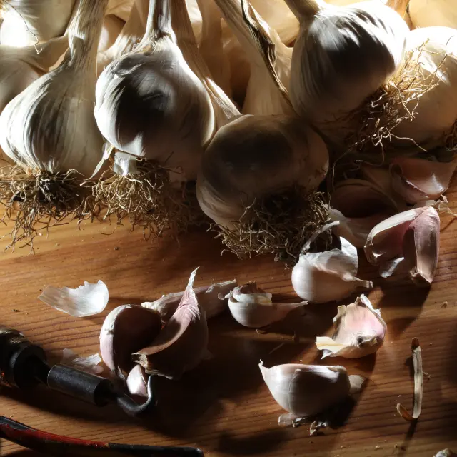 garlic Espirat 20