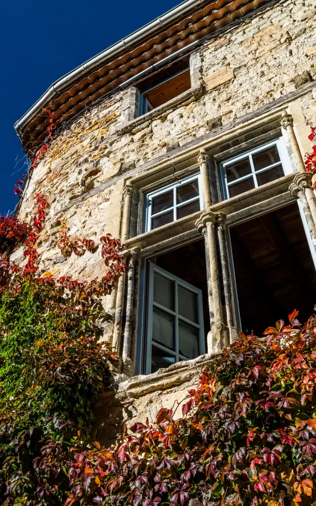 Maison à pans de bois à Billom recouverte de plantes grimpantes colorées