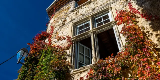 Maison à pans de bois à Billom recouverte de plantes grimpantes colorées