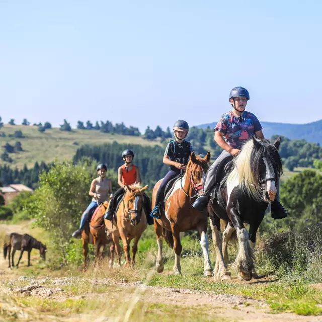 Quatre enfants à cheval sur un chemin de terre en montagne, sous un ciel ensoleillé, avec un cinquième cheval broutant au loin.