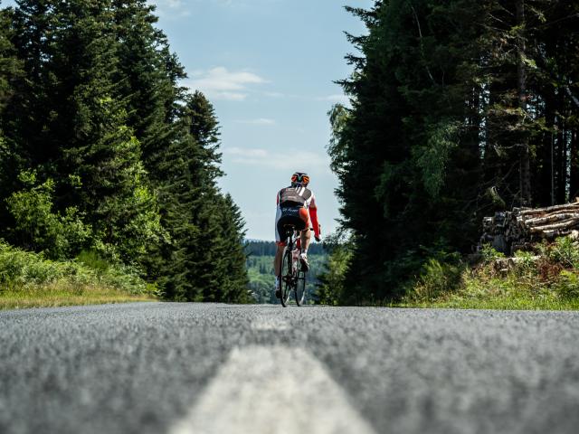 Cycliste sur la route lors de la cyclo Les Copains à Ambert, s’approchant d’une forêt de sapins sous un ciel dégagé.