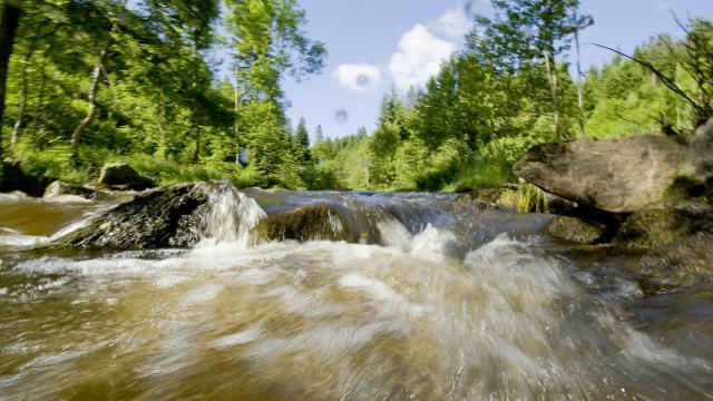 Gorges de la Dore 1