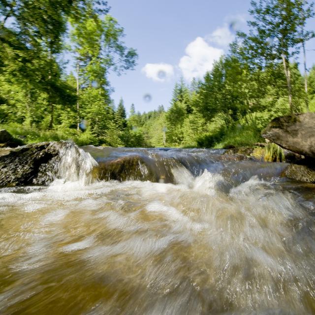 Vue en mouvement des Gorges de la Dore depuis l'eau, avec des arbres et des rochers dans la rivière.