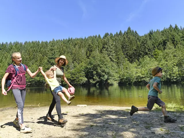 Muratte dam, Palladuc