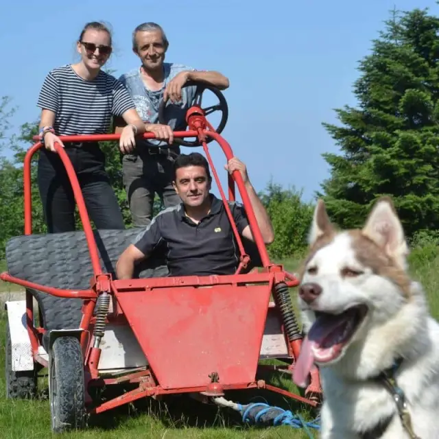 Cani-kart avec chiens de traîneau lors d’une activité nature chez Dubost Nature