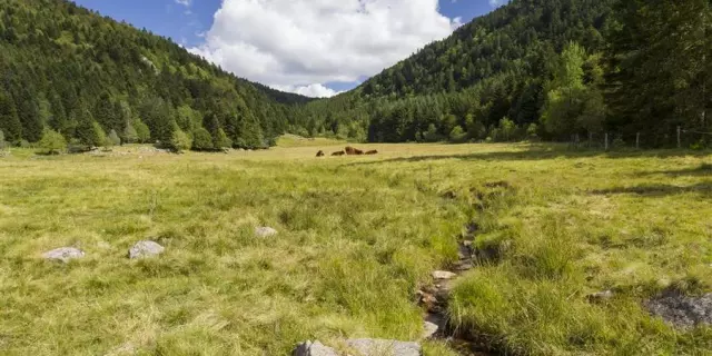 Fossat Valley