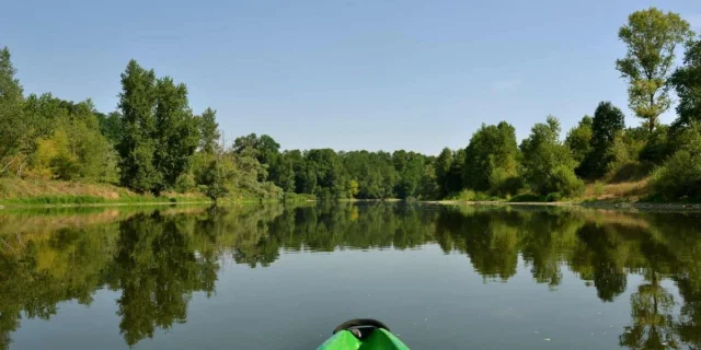 Vue depuis un canoë sur l'Allier, rivière sauvage bordée d'arbres.