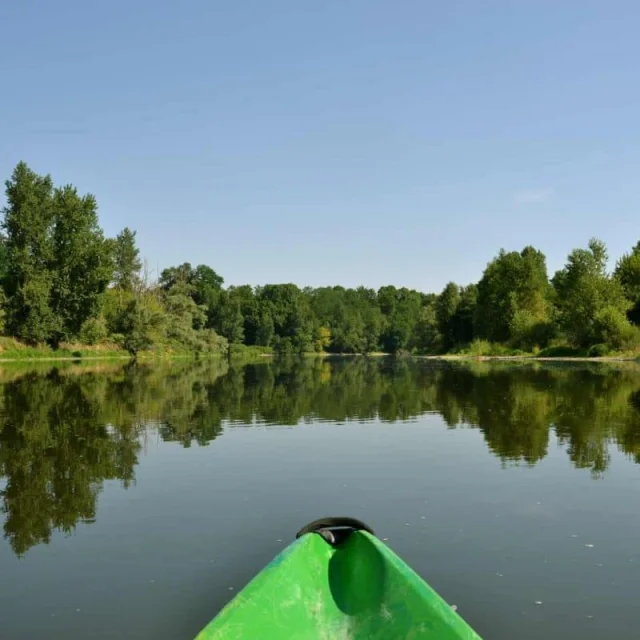 Vue depuis un canoë sur l'Allier, rivière sauvage bordée d'arbres.