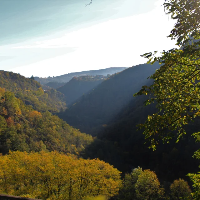 Paysage de la vallée des Rouets, avec forêts, rivière et montagnes en arrière-plan.