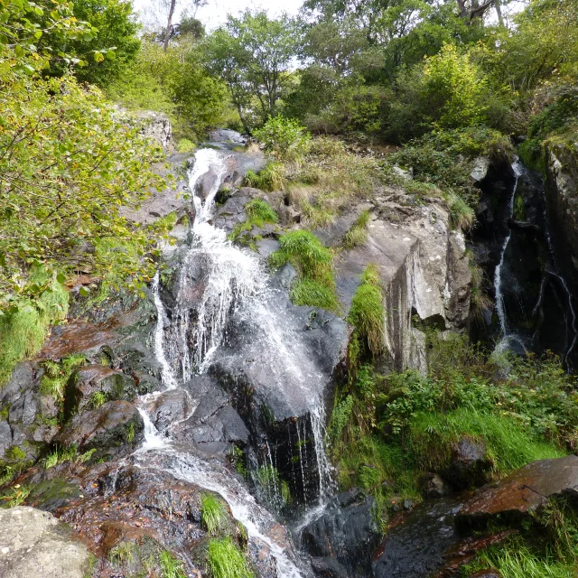 Cascade du Creux de l'Oulette, avec rochers moussus et végétation luxuriante.
