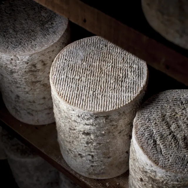 (2) Fourme d’Ambert affinée sur étagère dans la cave de la ferme des Supeyres à Valcivières