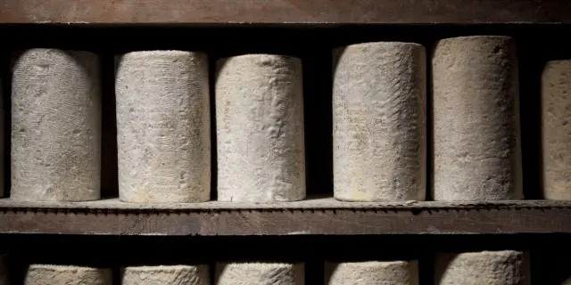 Fourme d'Ambert