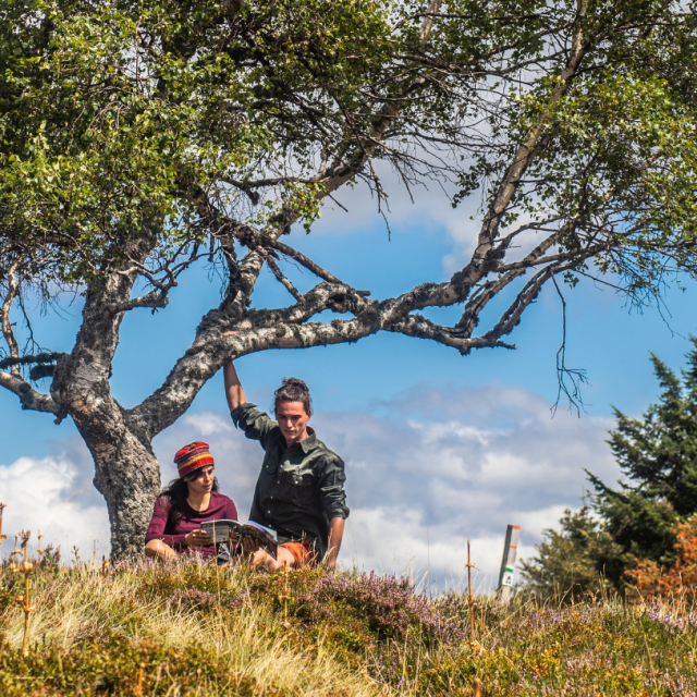 Randonnée en Auvergne Livradois-Forez