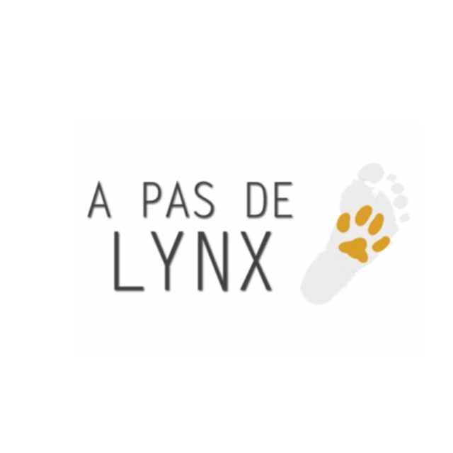logo à pas de lynx