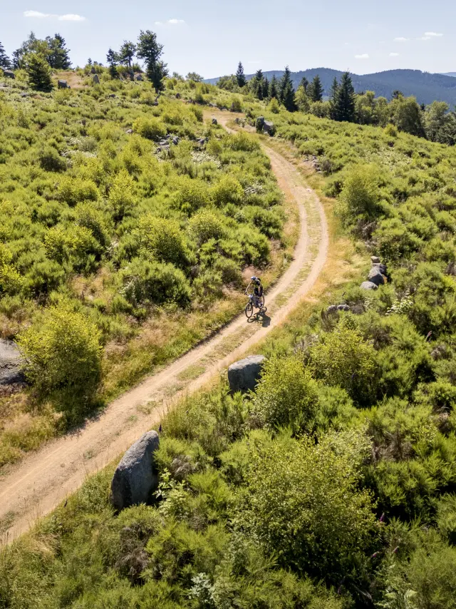 Un vététiste roule sur un chemin de terre au cœur des paysages naturels des Bois Noirs.