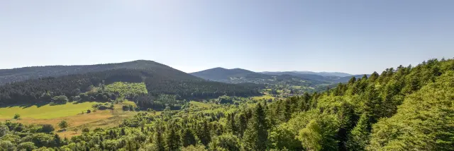 Panorama naturel sur les forêts des Bois Noirs et les collines du Livradois-Forez près de Thiers.